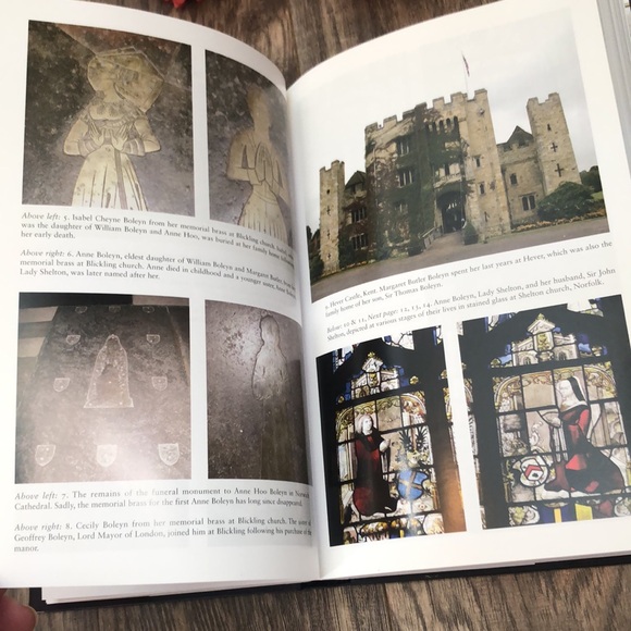 THE BOLEYN WOMEN & QUEEN ELIZABETH I historical biographies & English Royalty - Picture 13 of 16